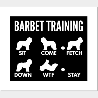 Barbet Training French Water Dog Tricks Posters and Art